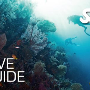 SSI Dive Guide – Digital Kit & Theorie