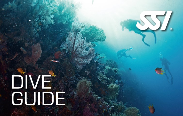 Dive Guide C- Crad