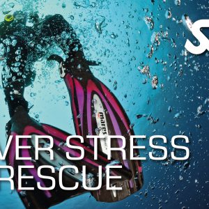 SSI Stress & Rescue – Digital Kit & Theorie