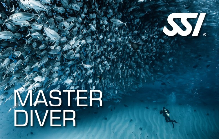 Master Diver Card