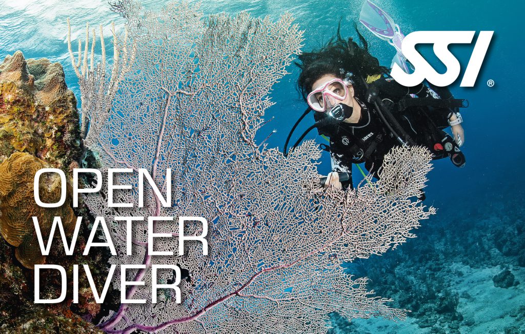 Open Water Diver Card