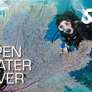 SSI Open Water Diver Digital KIT