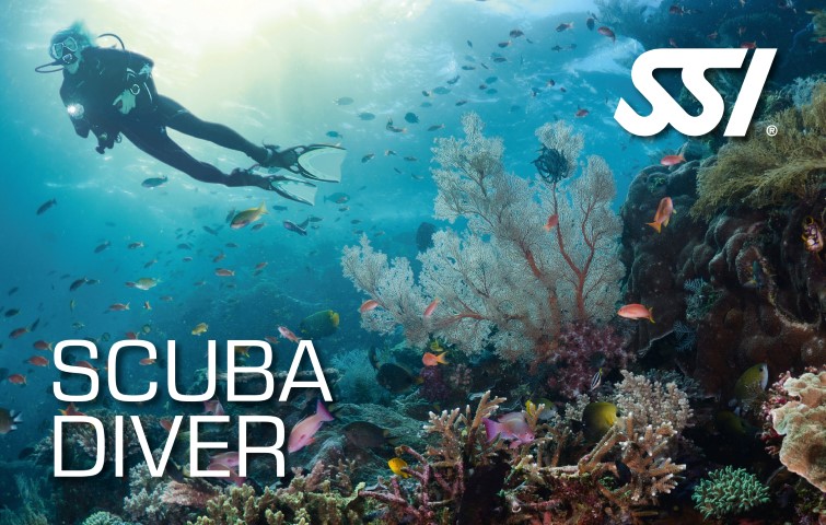 Scuba Diver Card